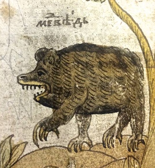 Изображение медведя в рукописи XVII века